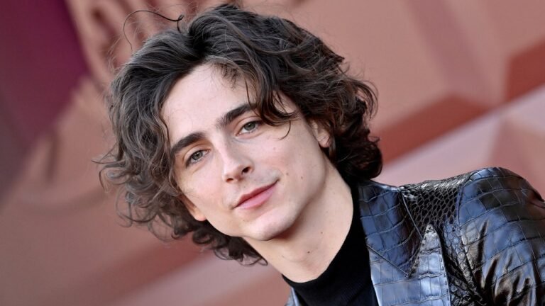 Timothée Chalamet Wears a Leather Suit at the Wonka Premiere in Los Angeles – See Photos