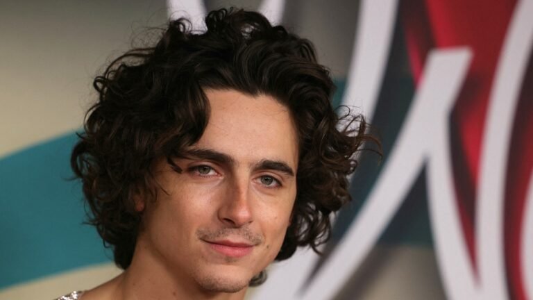 Timothée Chalamet dazzles with Chainmail at the Paris premiere of “Wonka”